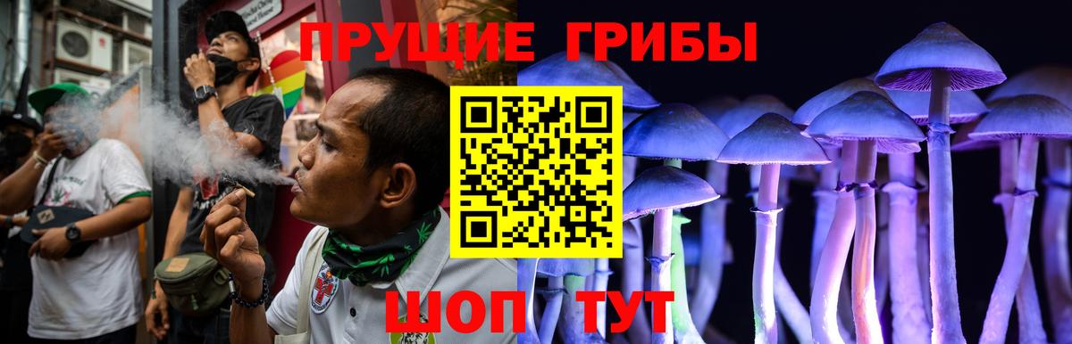 Псилоцибиновые грибы GOLDEN TEACHER  Вход с VPN  Ефремов 